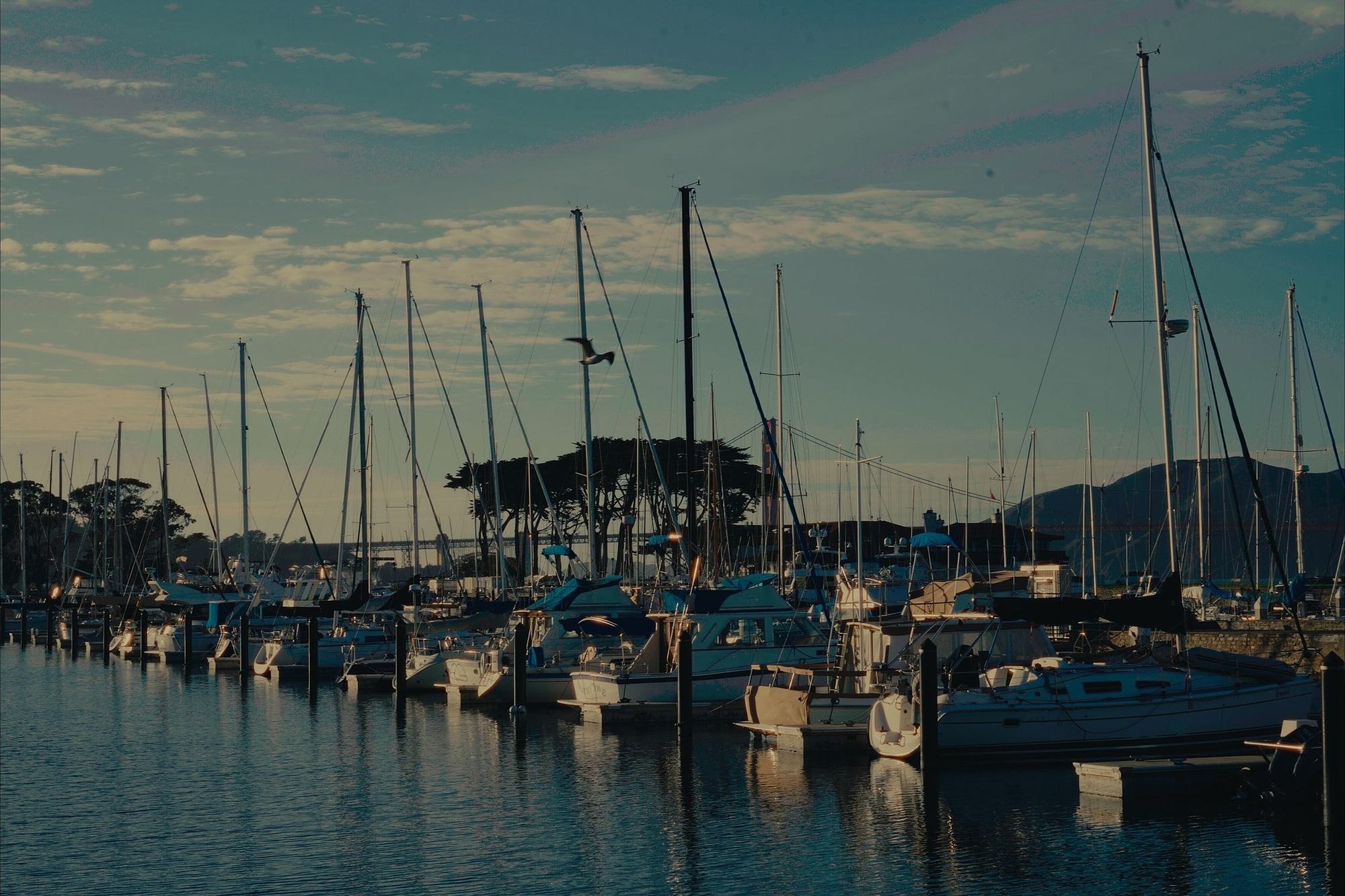 Marina, color graded