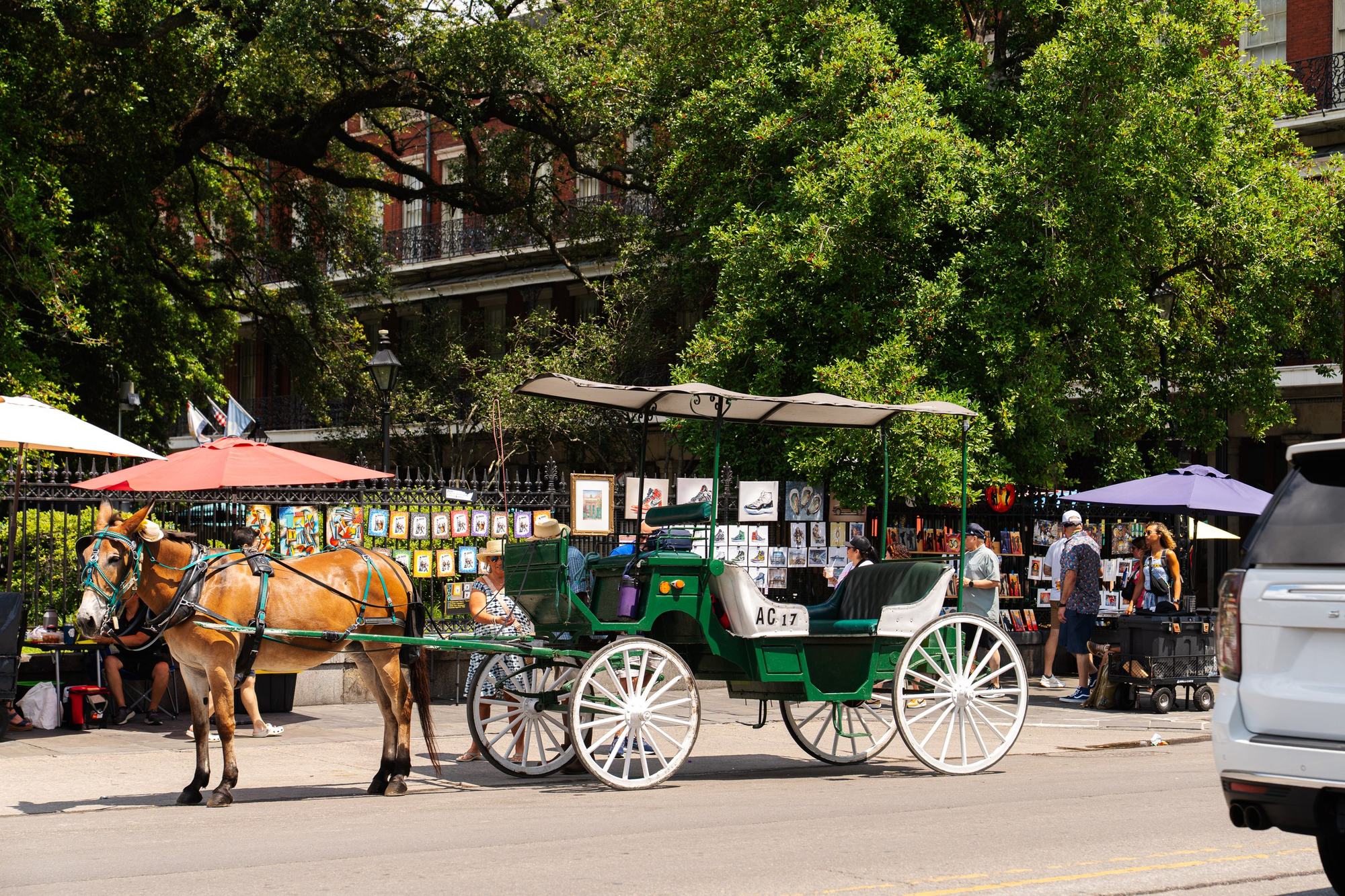 NOLA horse carriage